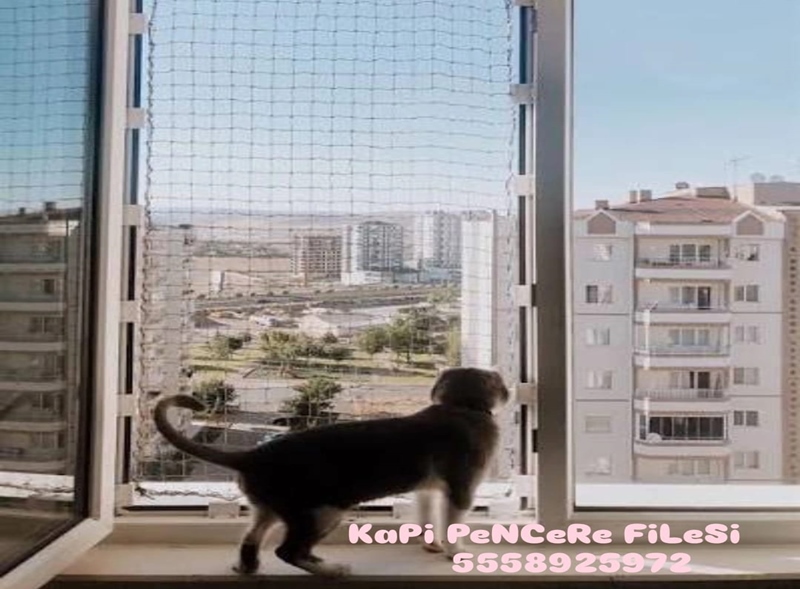 Evcil Hayvanlar İçin Balkon Güvenliği Nasıl Sağlanır?